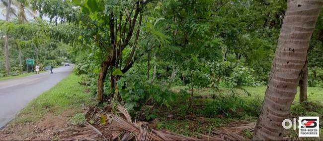 Farmland for sale in Anakkal, Palakkad