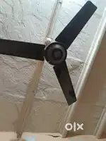 Orient ceiling fan 48 inch