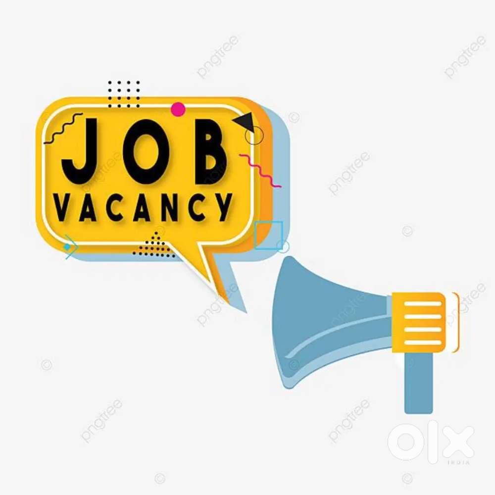 Telecalling, Team Leader, report writing