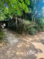 18 cent plot and house