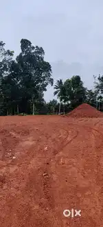 20 സെന്റ് സ്ഥലം വില്പനക്ക്