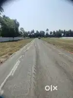 కాకినాడ అచ్చంపేట  7km ఇళ్ల స్థలాలు అమ్మకానికి కలదు.133.గజాలు.9లక్షలు