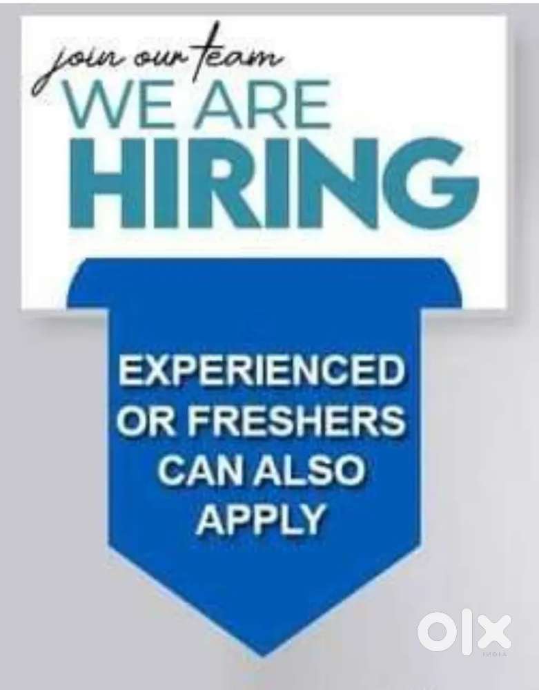 Collection Executive