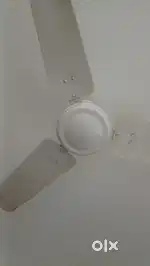 white cealing fan