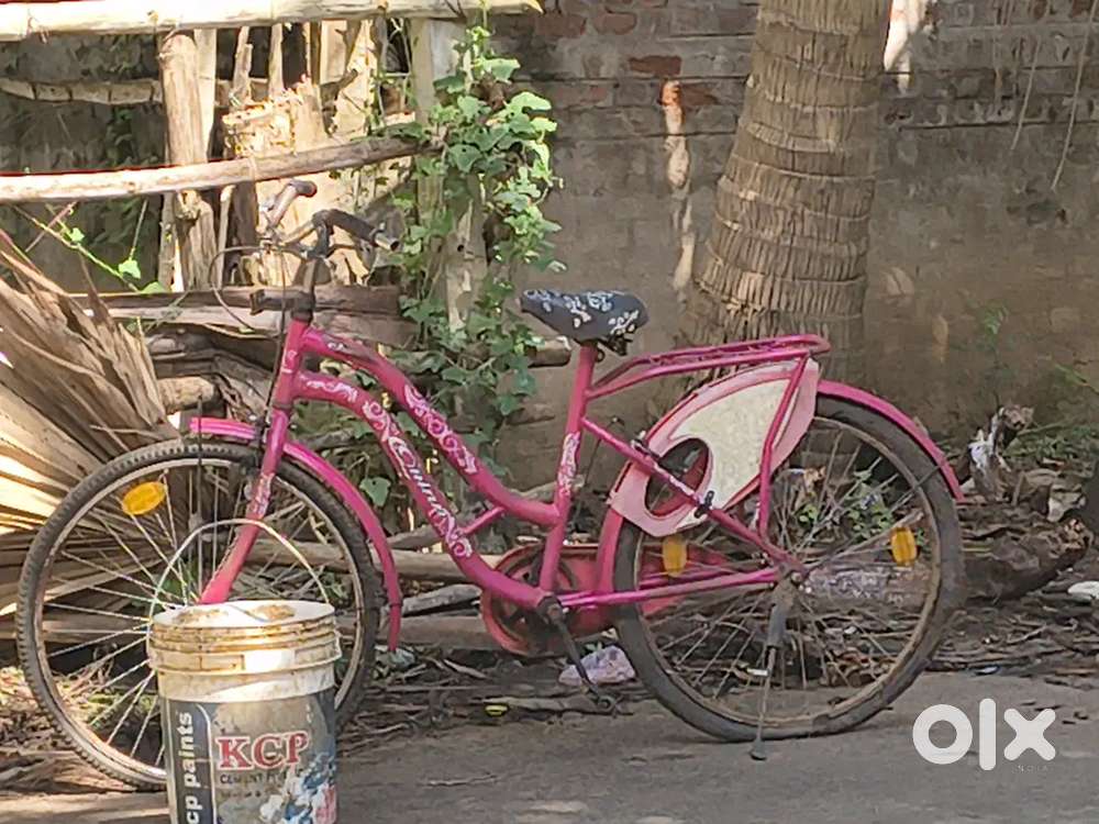 Rabbit kids bycycle