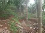Plot for sale