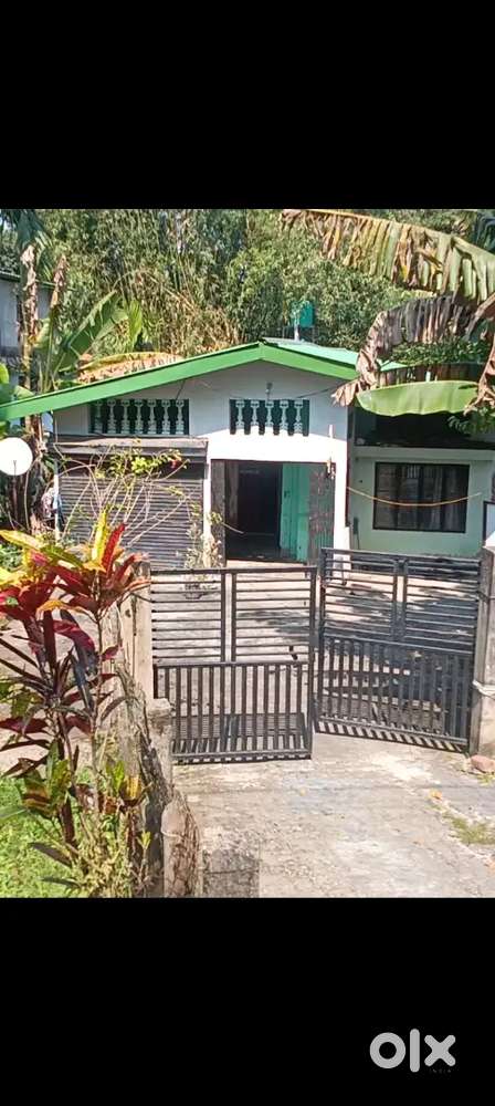 Assam type house..