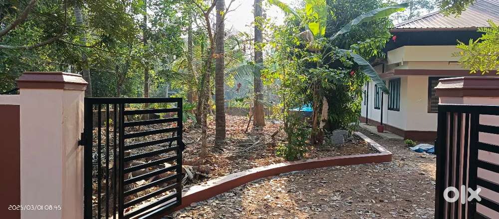 House plot for sale at Edat east Payyanur