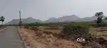 26 acers land for sale need money urgent
