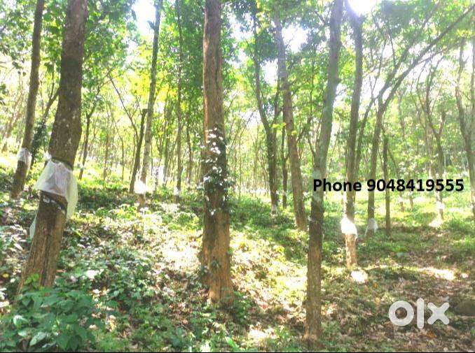 റാ ന്നി - ഇടമൺ സ്ഥലത്ത് 14 ഏക്കർ റബ്ബർ എസ്റ്റേ റ്റ് വി ൽപ്പനയ്ക്ക്