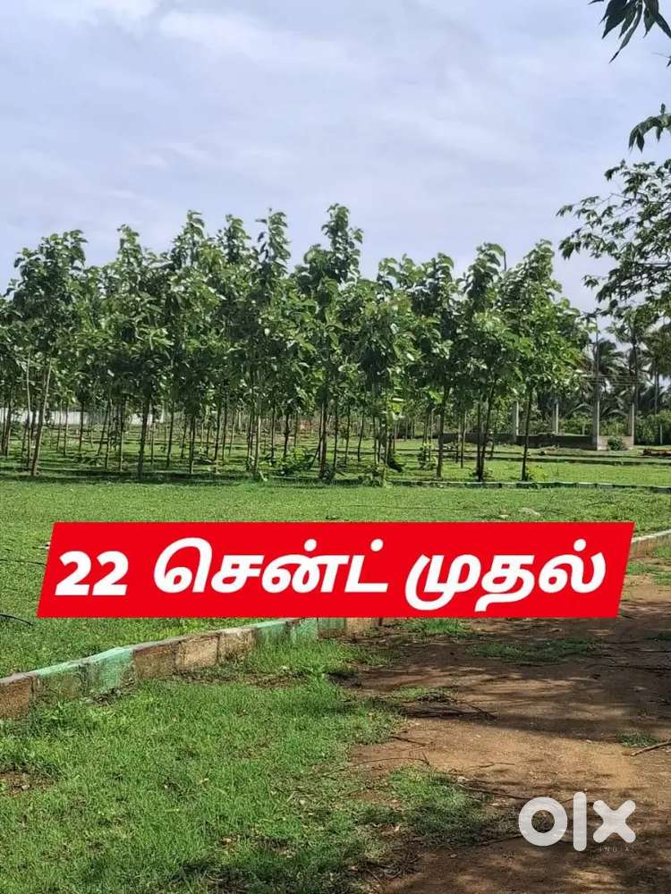 Farmland sale in kinathukadavu teakwood