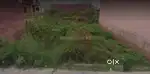 Plot for sale roorkee haridwar highway