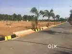 Plot two side open with noc