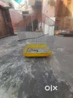 Small birds cage and +4 pices