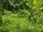 Premium residential plot for sale in perinthalmanna JN Road
