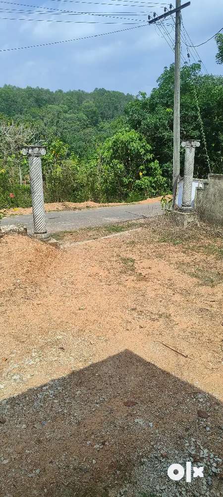 5.650 cent land for sale with borewell