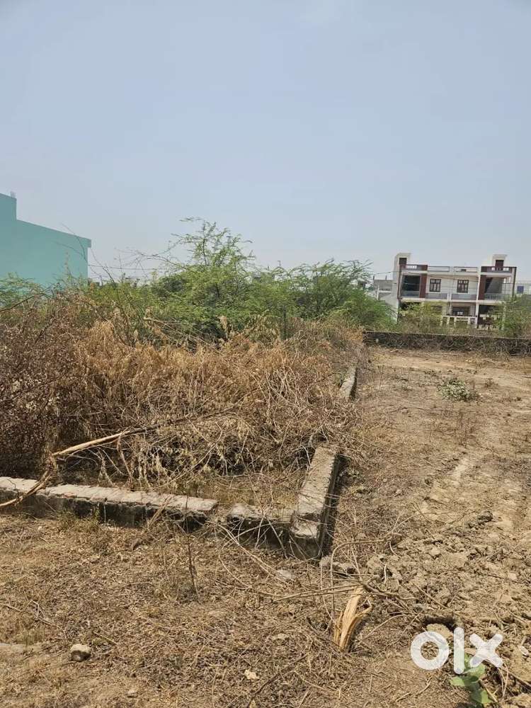 Sports College Near DH2 society 600 meter from main road