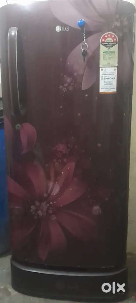 LG bridge super fast cooling power energy