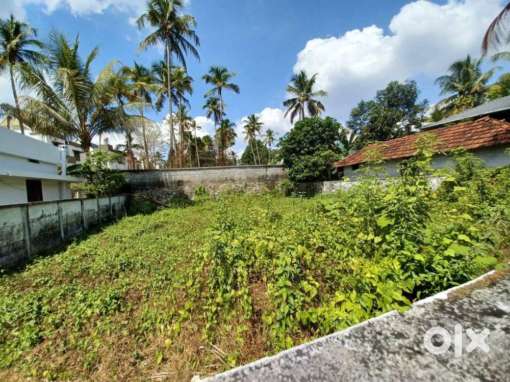 6 cent plot for sale