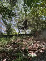 7cent plot near infopark kakkanad