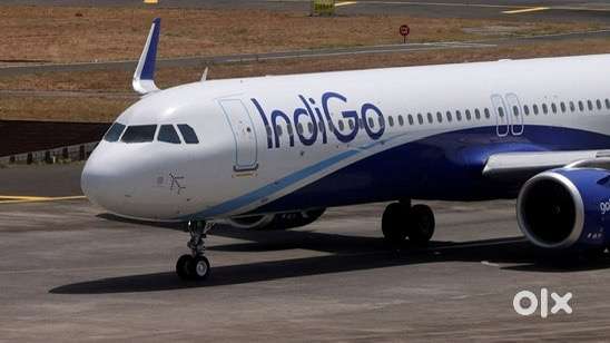 Urgent Requirement For Ground Staff Jobs In IndiGo Airlines