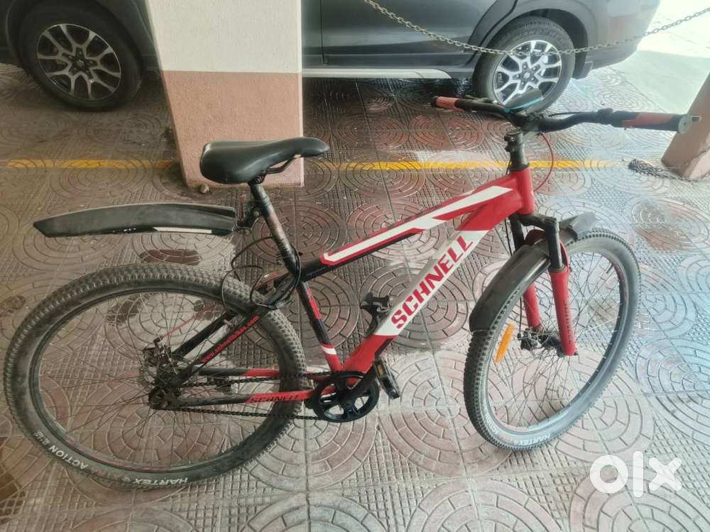 Schnell single speed