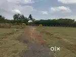 CHENGALPATU VILLAS PLOT