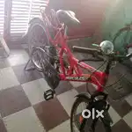 Sell bicycle