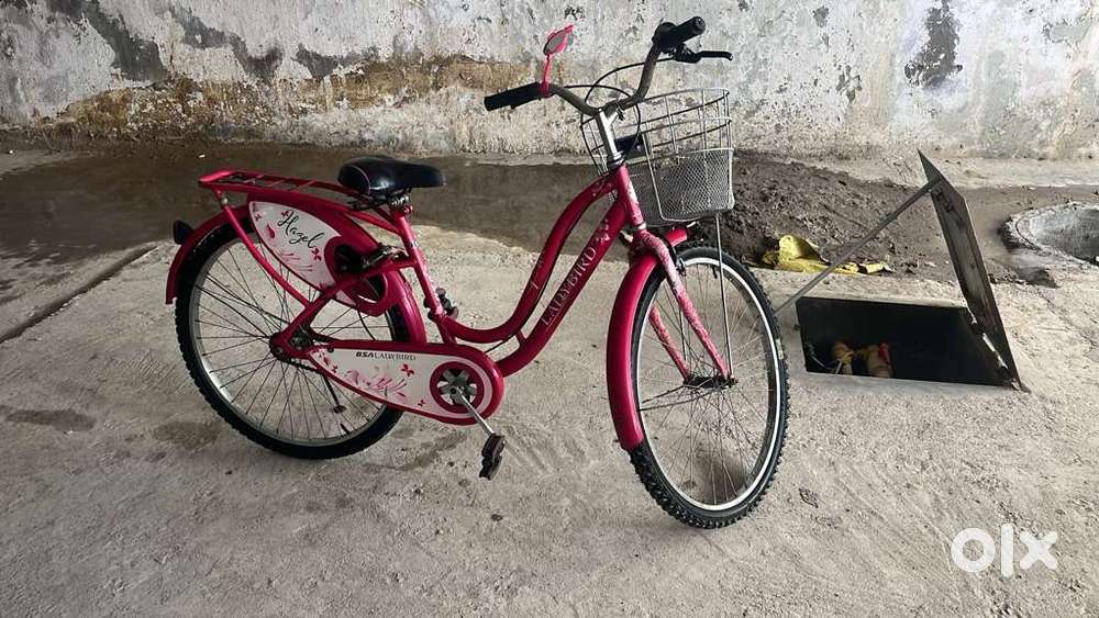 BSA Lady Bird