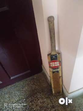 Cricket bat of good quality and good condition