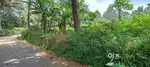 17cent single  property(9 and 8 cent) for sale.  kuthukuzhi