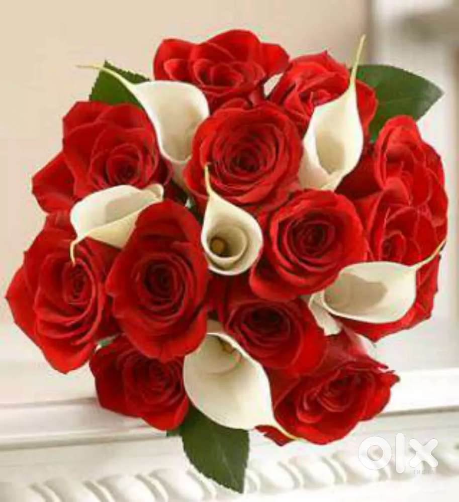 CHITRA NAGAR  LAYOUT