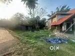 House plot