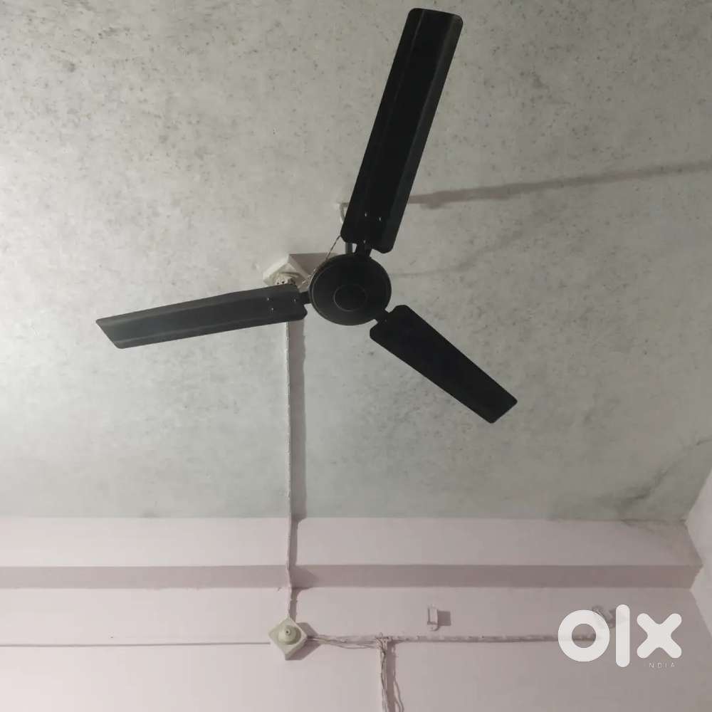 Required 1 room partener