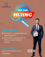 Sales executive