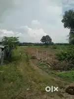 7 km frome mokila,