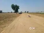 Govt approved plots with wide roads