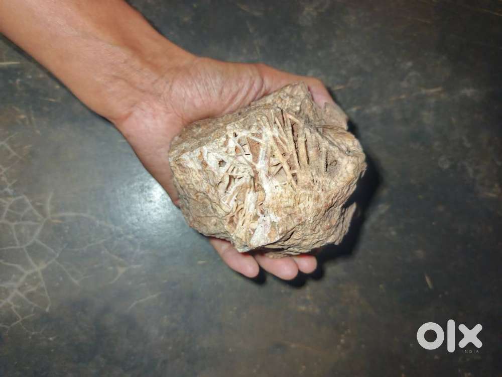 Two types of crystals