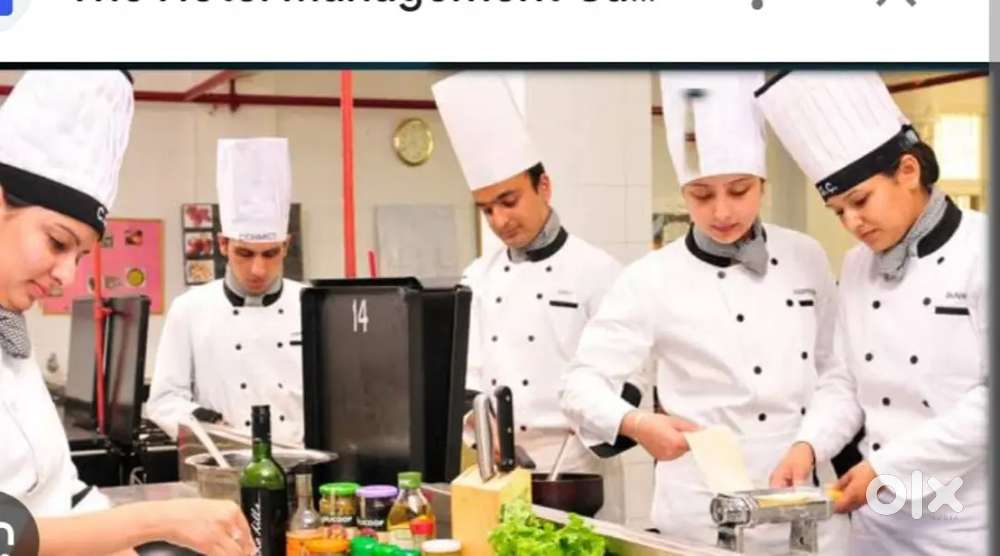 Wanted continental & chinese senior chef & assistants  for catering