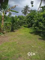 4.25 ACRE (425 CENT) LAND FOR SALE AT CHALAKUDY PARIYARAM