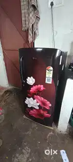 Lg refrigerator