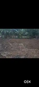 3,4 CENT RESIDENTIAL PLOT SALE AT MANJUMMAL EDAPPALLY