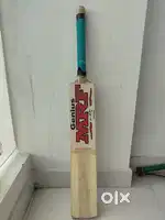 Cricket bat