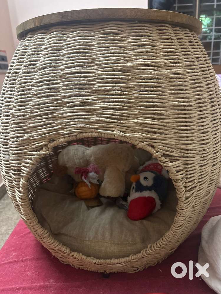 Dog bed and Cat house