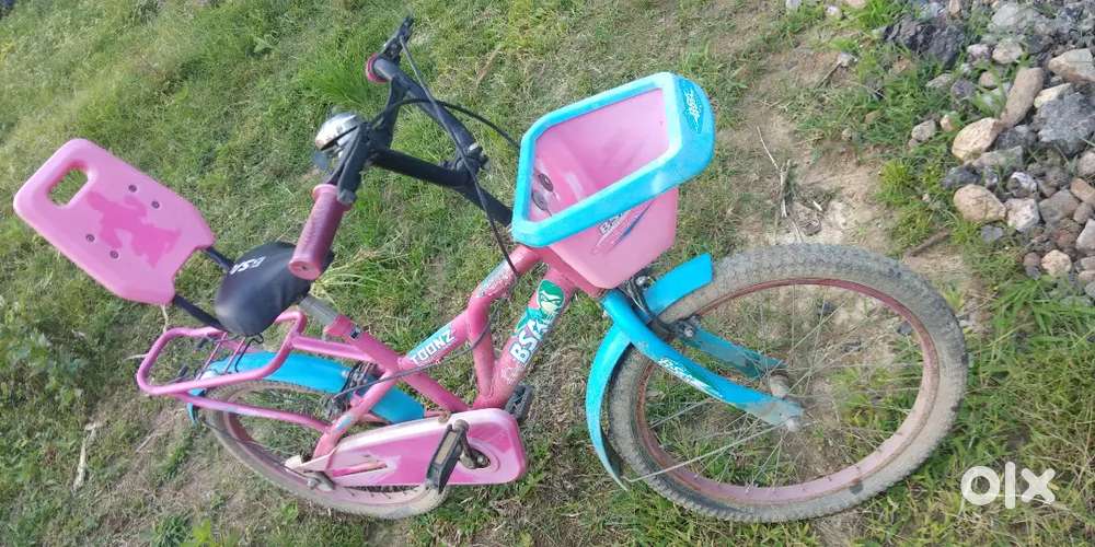 One year BSA cycle