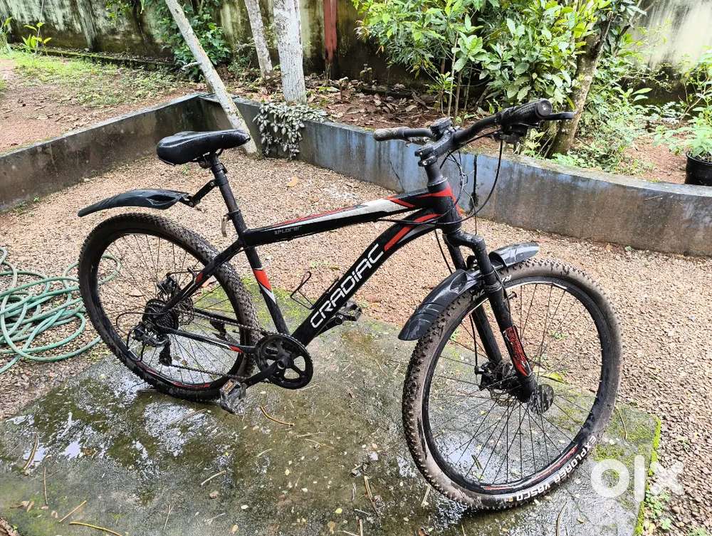 Cycle for sale