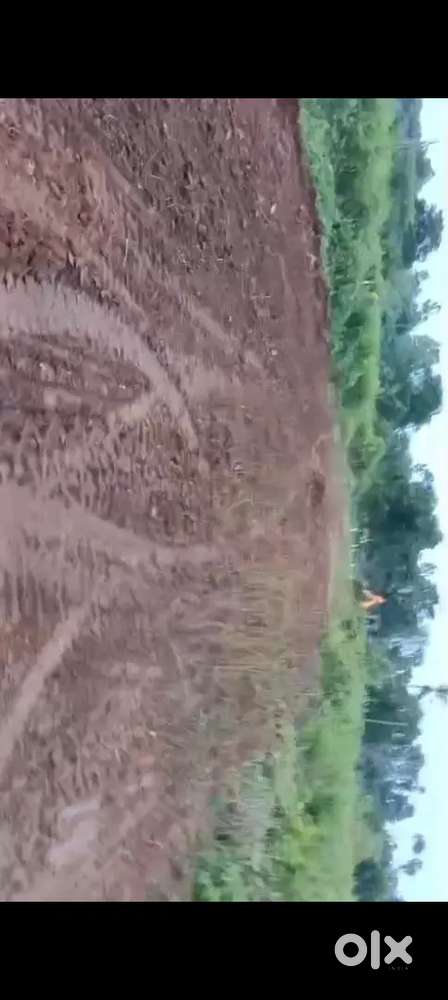 VUDA Approved plot for sale Rajula Thallavalasa