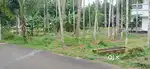 Kunnathangadi 5,6,8,10 Cent Plot For Sale Per Cent 3,50,000