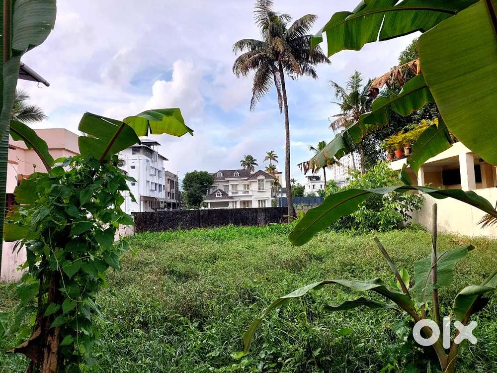 Land in Kaloor Kochi