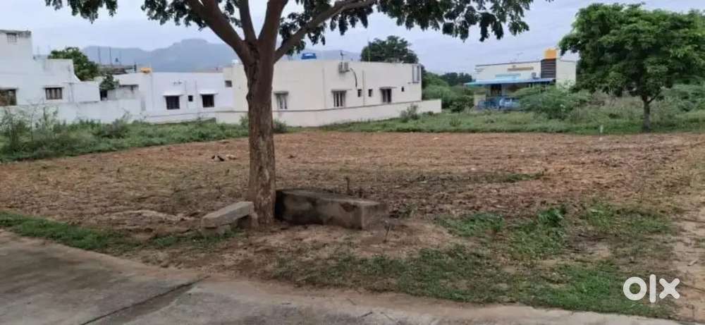 Residential plot Sale